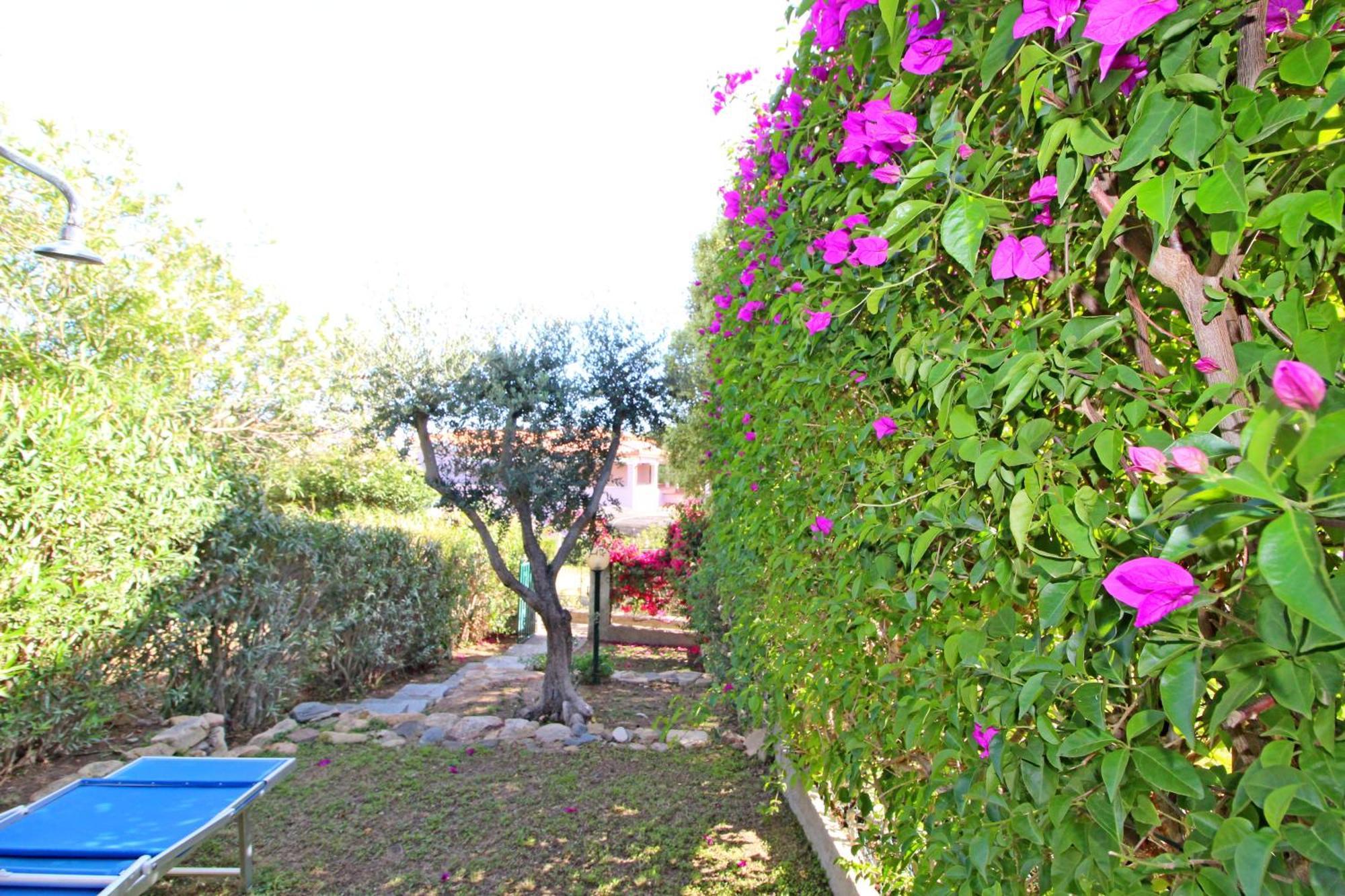 Bilo Blu Holiday A 80 Metri Dal Mare コスタ・レイ エクステリア 写真